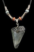 Megalodon Tooth Necklace #43063