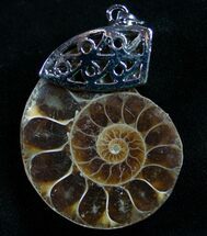 Ammonite Pendant #4274