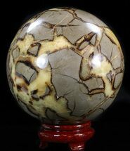Polished Septarian Sphere - lbs (Cyber Monday Deal!) #43789