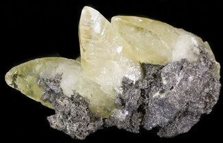 Calcite Crystal Cluster on Galena Matrix - Missouri #43841
