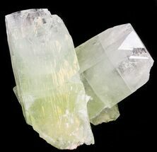 Zoned Apophyllite Twin Crystal Cluster - India #44323