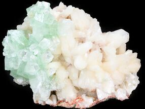 Large Zoned Apophyllite Crystal Cluster with Stilbite - India #44415