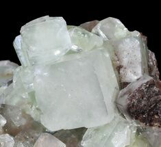 Lustrous Green Apophyllite Crystals with Stilbite - India #44359