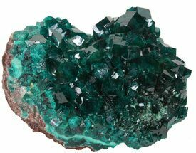 Exceptional Gemmy Dioptase Cluster - Namibia #44661