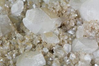 Plate of Zoned Apophyllite Crystals on Micro-Stilbite - India #45016