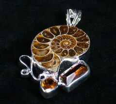Ammonite Pendant With Citrine #4373
