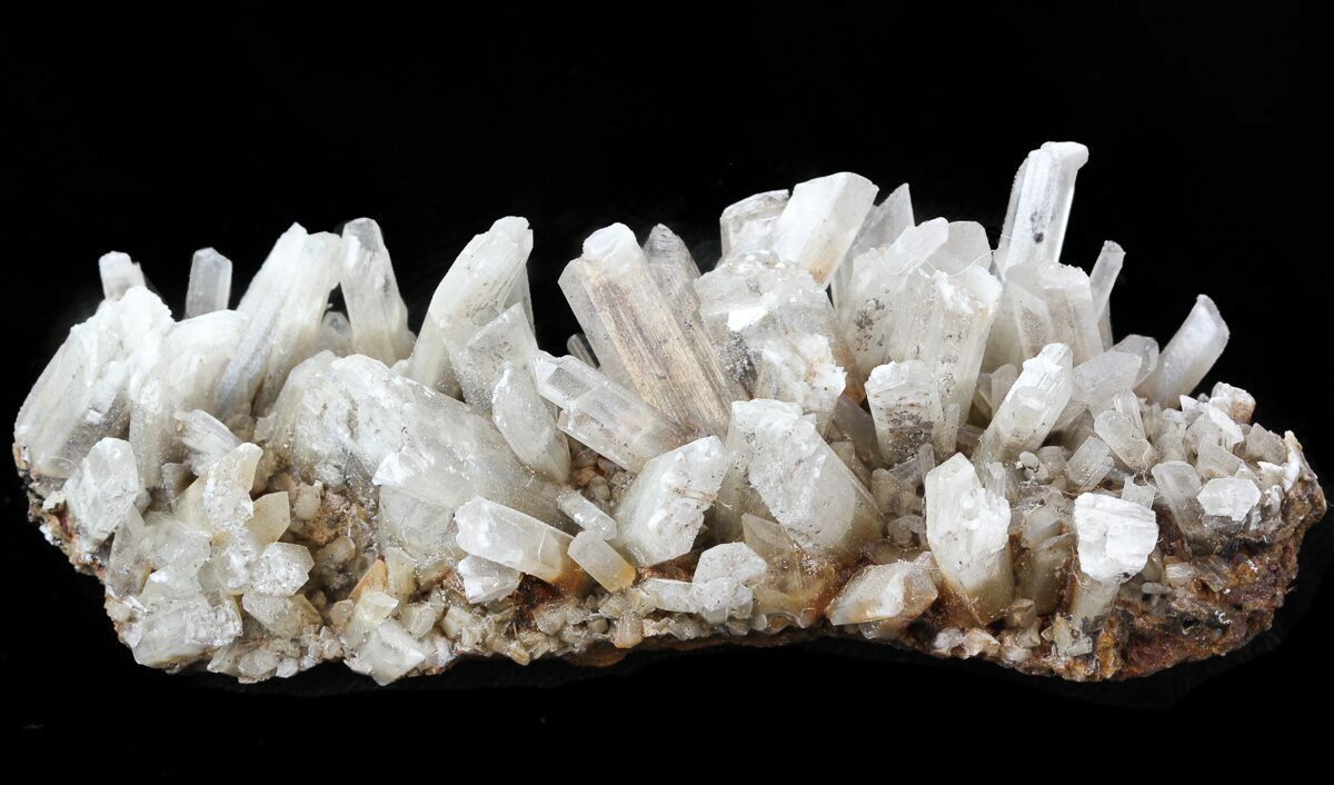 Mexico. 159 g Selenite crystals on Ganges