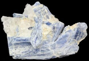 Kyanite Crystals in Quartz - Brazil #44987