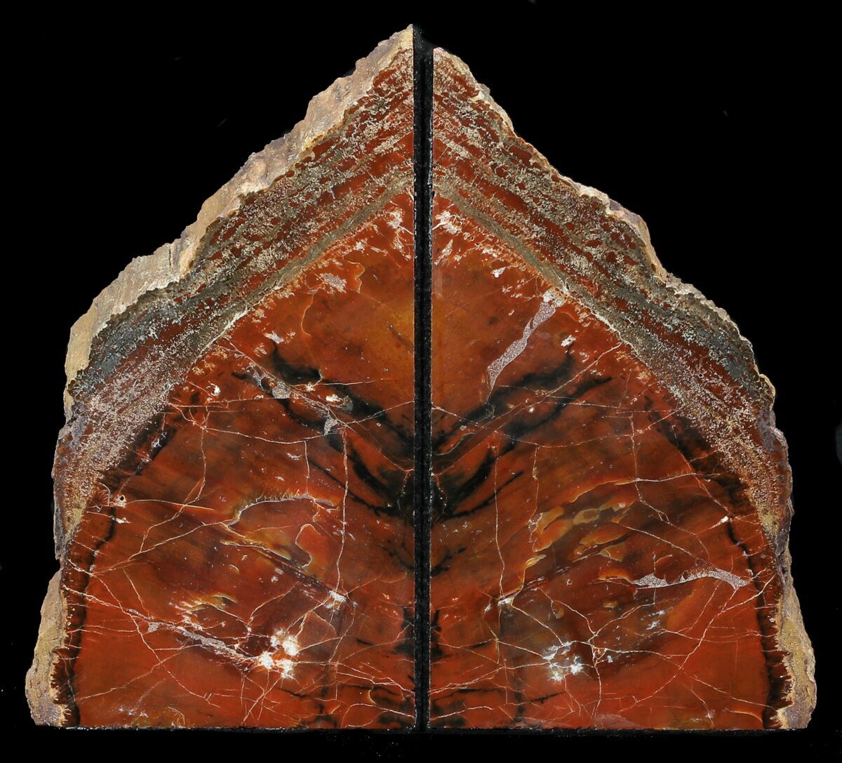arizona petrified wood bookends arizona petrified wood bookends