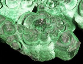 Fibrous Malachite Crystal Cluster - Congo #45337