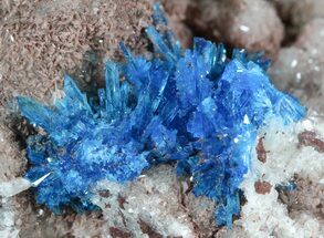 Vibrant Blue Cavansite on Stilbite - India #45871