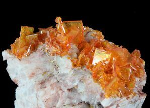 Orange Windowpane Wulfenite Cluster - Rowley Mine #49368