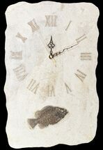 Tall Clock With Cockerellites Fish Fossil - Wyoming #51440