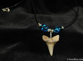 Fossil Mako Tooth Necklace #600