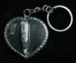Black Fossil Orthoceras Heart Keychain #4796