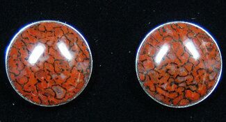Dark Red, Polished Dinosaur Bone (Gembone) Post Earrings #54098