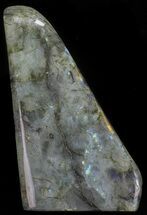 Labradorite For Sale - FossilEra.com
