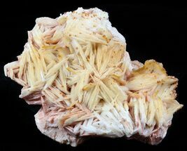 Red Vanadinite Crystals on Barite - Morocco #57264