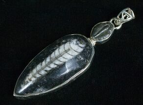 Fossil Orthoceras & Trilobite Pendant - Sterling Silver #5101