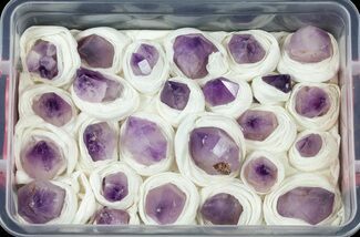 Amethyst Phantom Crystal Wholesale Lot - Pieces #59954