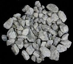 Rough Labradorite (Small Pieces) Wholesale Lot - pounds #59616