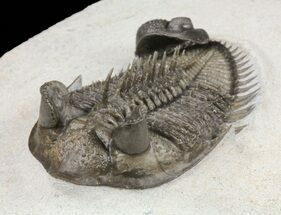 Spectacular, Erbenochile From Unusual Location #60015