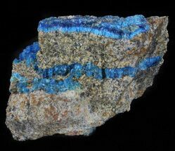 Vibrant Blue Chalcanthite on Sandstone - Poland #61757
