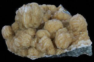 Barite Crystal Cluster on Marcasite - Lubin Mine, Poland #61761