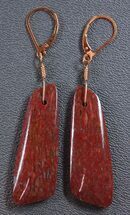 Pink Agatized Dinosaur Bone Earrings #5251