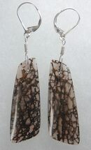 Black Spiderweb Dinosaur Bone Earrings #5253