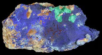 Large Malachite with Azurite Specimen - Lbs #60721