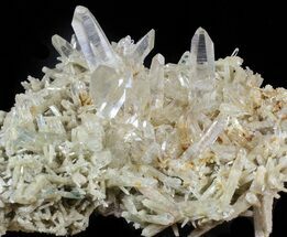Himalayan Quartz Crystal Cluster with Chlorite Inclusions #63044
