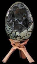 Masive, Septarian Dragon Egg Geode - Black Crystals #63133