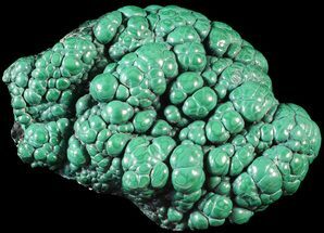 Polished Malachite Brain - Congo #63352