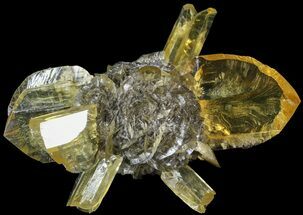 Twinned Selenite Crystals (Fluorescent) - Red River Floodway #63366