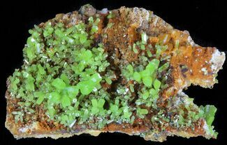 Neon Green Pyromorphite Crystal Cluster - China #63697
