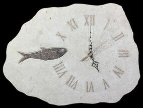 Wide Clock With Natural Fossil Fish - Wyoming #64197