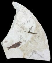 Tall Clock With Natural Fossil Fish - Wyoming #64206