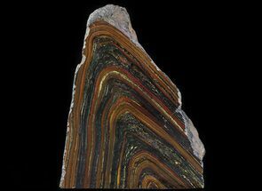 Banded Tiger Iron Stromatolite - Free-Standing Piece #64778