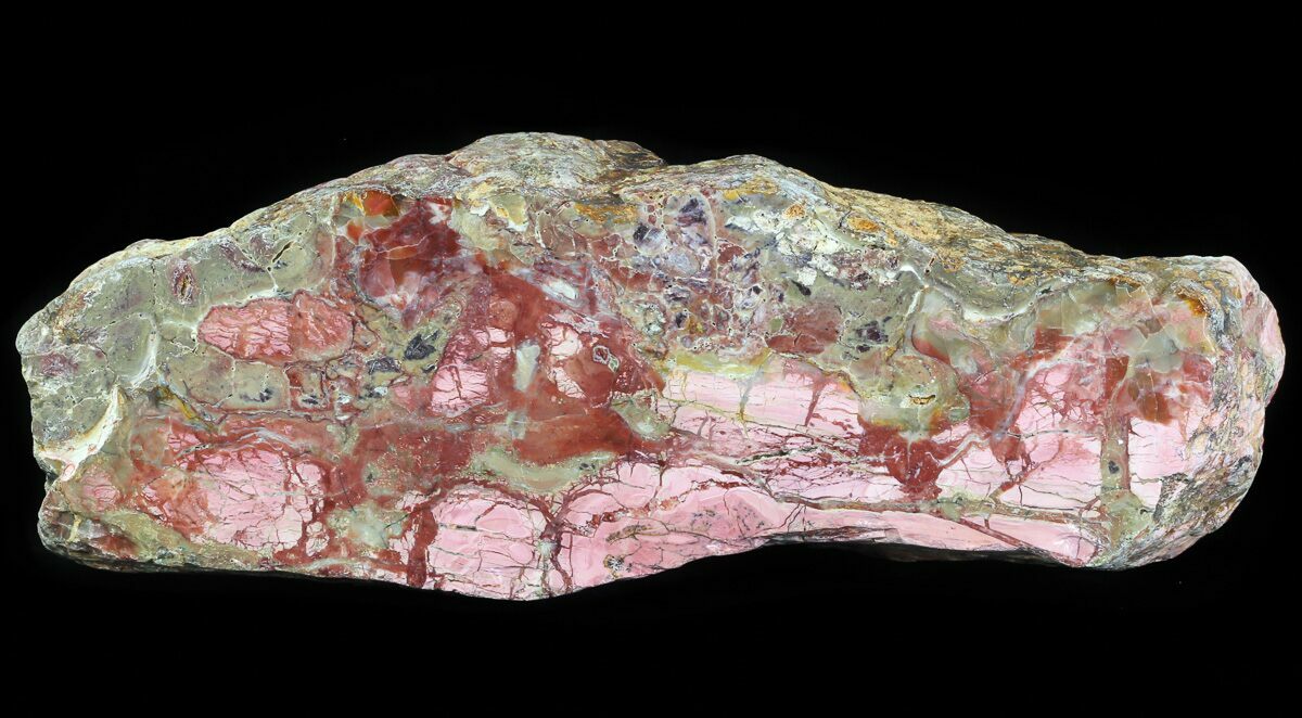 14.6" Polished Brecciated Pink Opal - Western Australia For Sale