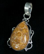 Tear Drop Shaped Fossil Coral Pendant #5334