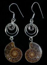 Stylish Ammonite Earrings #5336