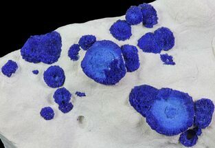 Brilliant Blue Azurite Sun Cluster - Australia #64286
