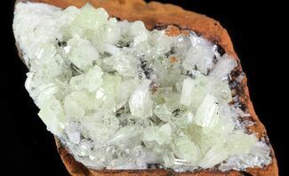 Pale Green Adamite Crystals - Durango, Mexico #65309