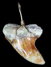 Colorful, Fossil Mako Tooth Pendant - Bakersfield, CA #65565