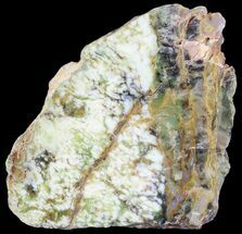 Polished Green-White Opal Slab - Western Australia #65407