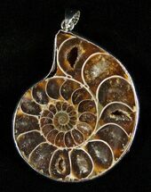Large Ammonite Pendant #5589