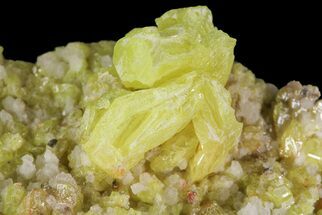 Sulfur Crystal Cluster - Nevada #69147