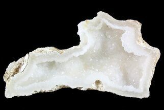 Unique, Agatized Fossil Coral With Quartz - Florida #72294