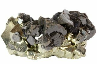 Sphalerite and Pyrite Crystal Association - Peru #72603